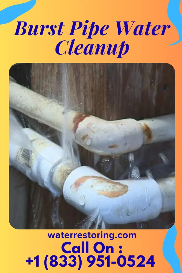 Burst Pipe Water Cleanup in Bessemer, PA