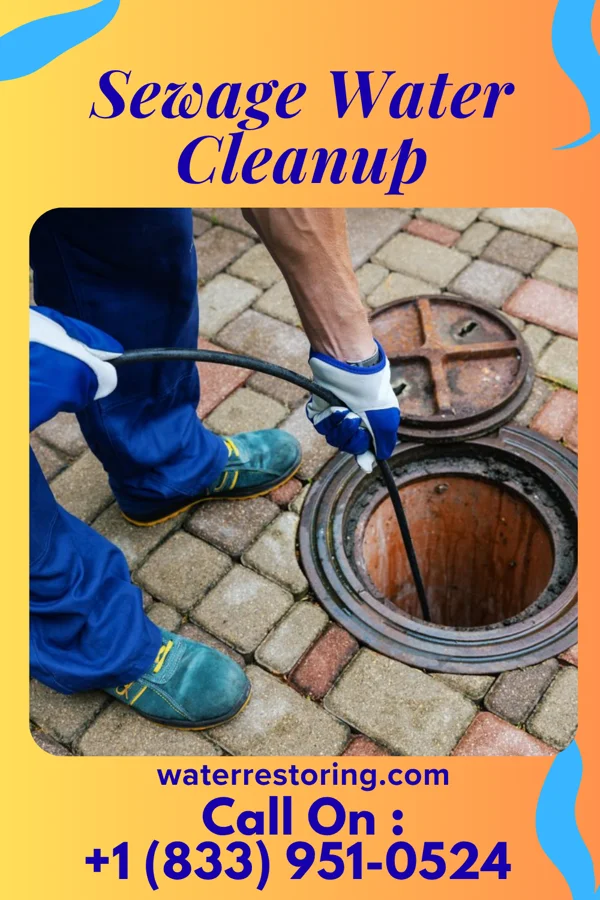 Sewage Water Cleanup in Bessemer, PA