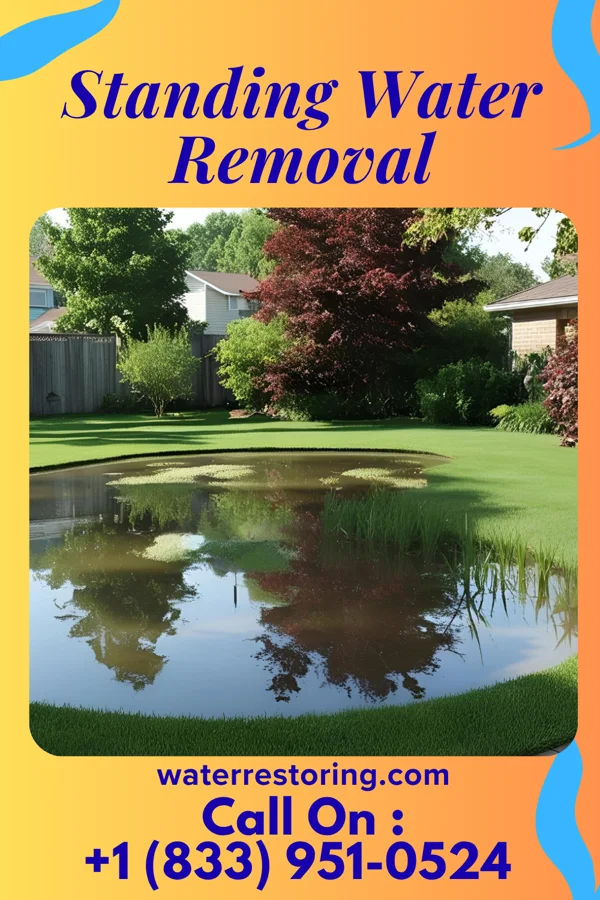 Standing Water Removal in Bessemer, PA